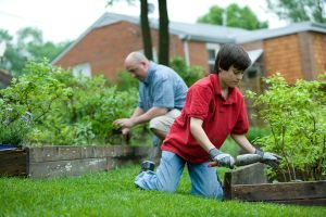 what are some natural ways to deter garden pests