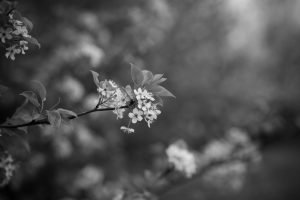 how can i create a nature inspired art project outdoors