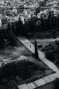 how can i design a garden to encourage wildlife nesting and shelter