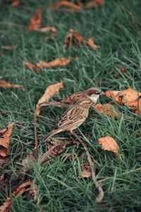 how can i make the most of a small bathroom space