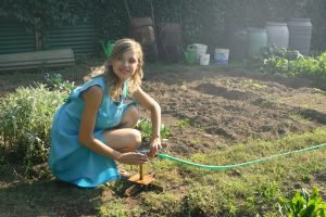 how do i manage and maintain a thriving herbaceous border