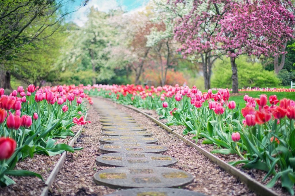 what are some strategies for managing garden diseases organically 6