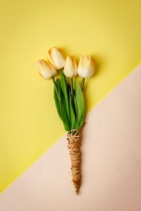 whats the process for setting up an outdoor cinema experience