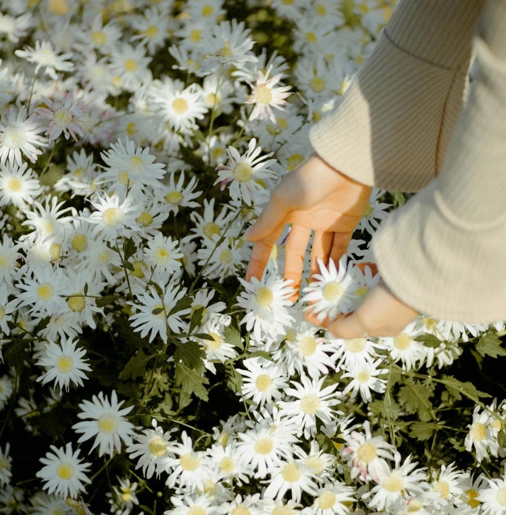 how can i successfully grow and care for aquatic plants in a pond 2