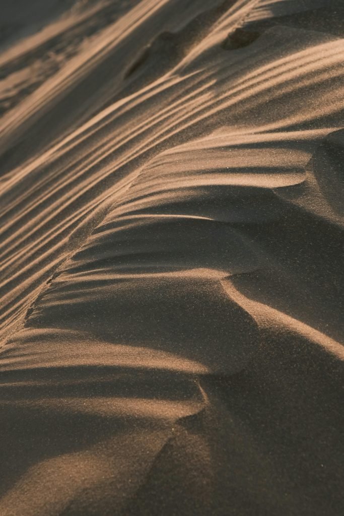how can i successfully grow and care for desert adapted plants 2