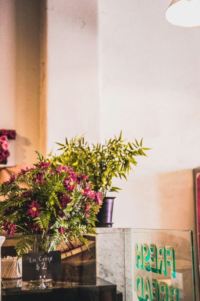 how can i successfully grow and care for orchids indoors 1