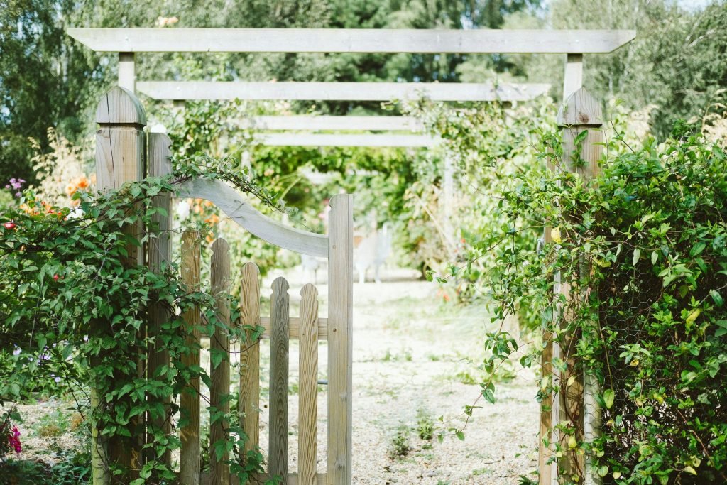how do i establish a fragrant herb garden for culinary use 2