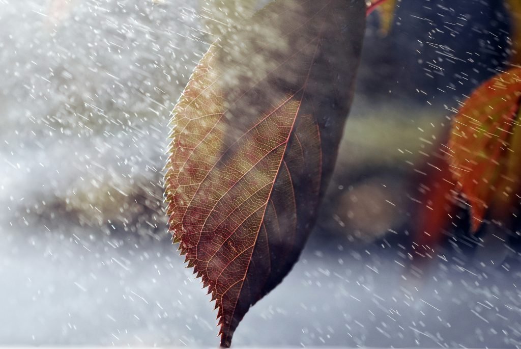 how do i learn about and practice outdoor weather prediction techniques