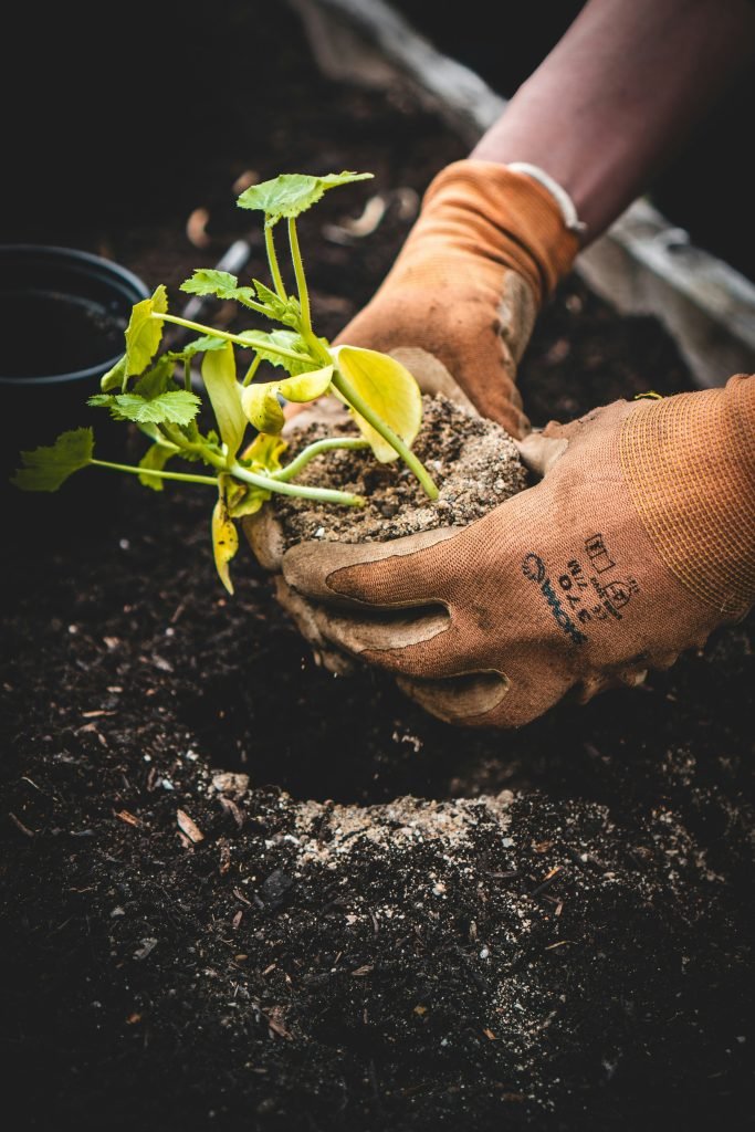 how can i build raised garden beds for better drainage 1