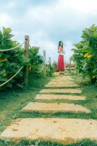 how can i create a garden that supports a population of beneficial nematodes