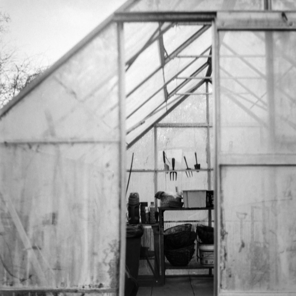 how do i properly care for and maintain a greenhouse garden