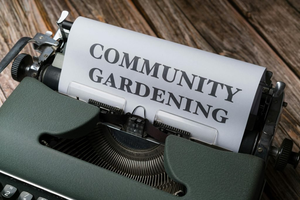 whats the process for creating a self sustaining permaculture garden 1