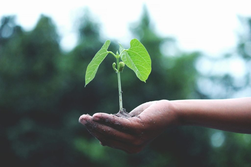 whats the process for setting up an outdoor ecological restoration project 1