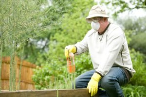 how do i handle pest control in and around my home