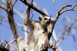 how can i get involved in outdoor conservation efforts