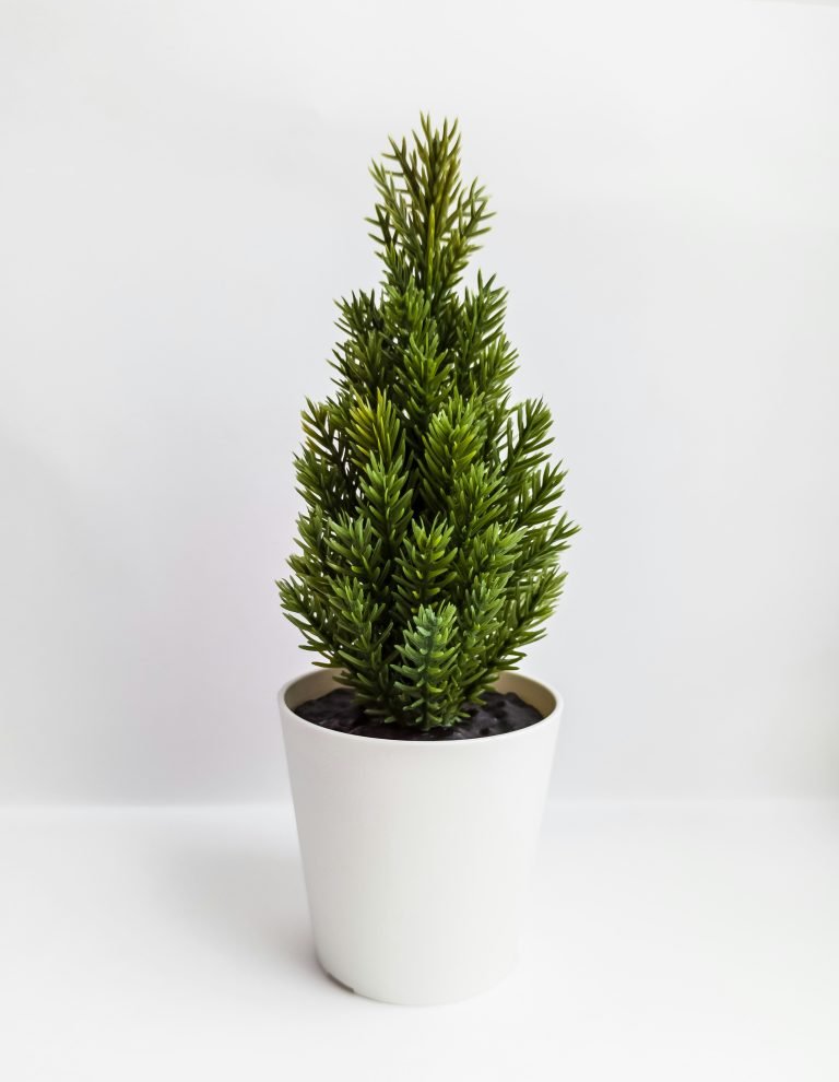 how can i improve soil quality naturally