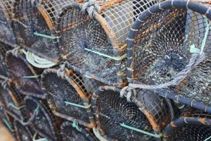 how do i choose the right fishing rod and reel