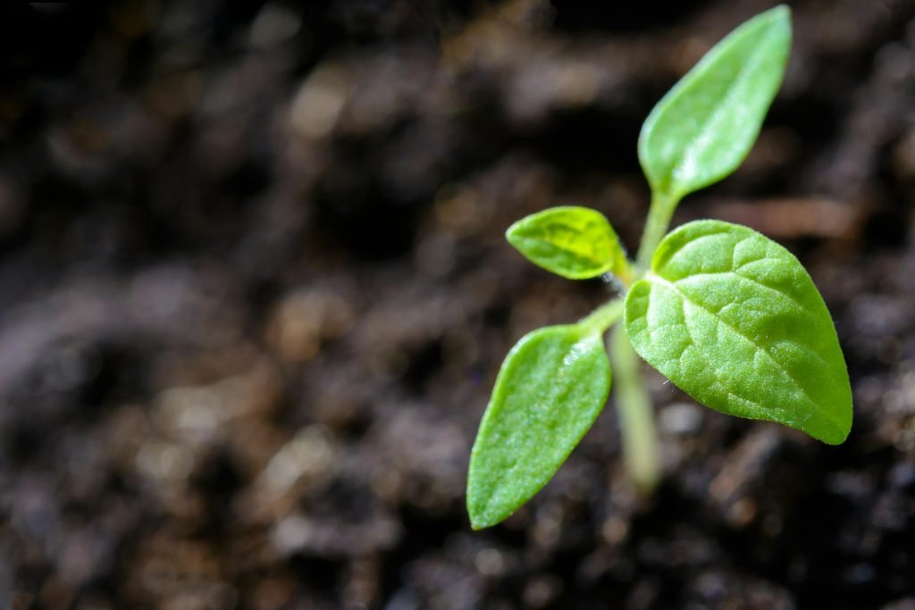 what are the benefits of energy efficient appliances