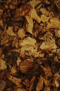 what are the benefits of mulching