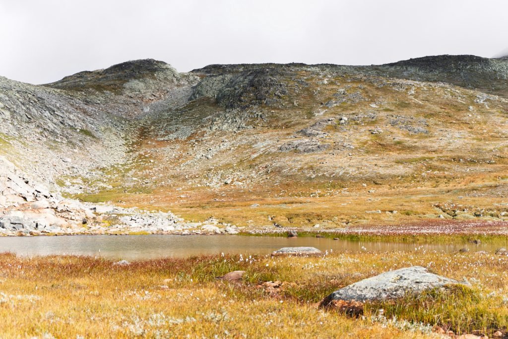 what are the essential items for a day hike