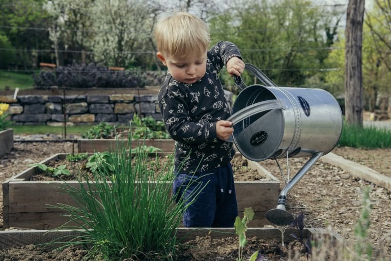 which plants grow well in shade